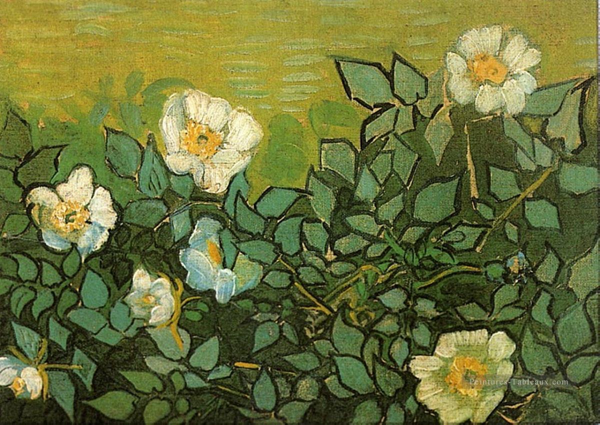 Roses sauvages Vincent van Gogh Peintures à l'huile